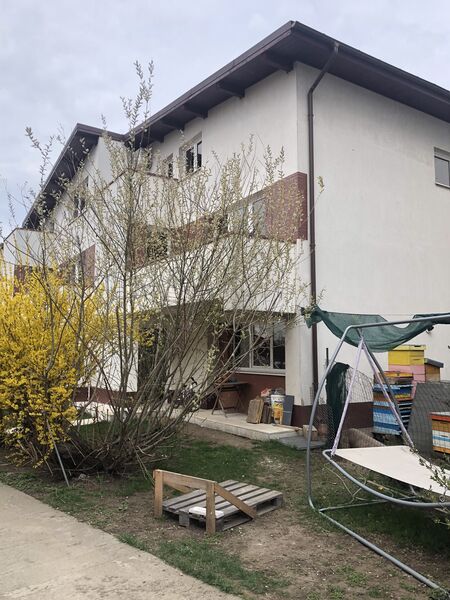 Bragadiru Cartieru Verde